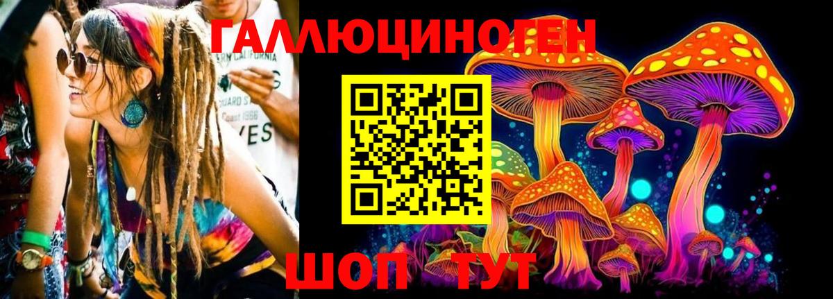 Галлюциногенные грибы Psilocybine cubensis  Псилоцибиновые грибы ЛСД  Вход с VPN  Сосновоборск 